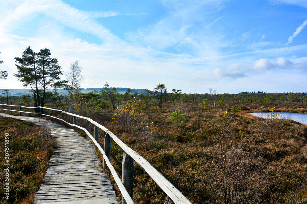 Wood path through the black bog moor, with a moor eye,  in the Rhön, Bavaria, Germany