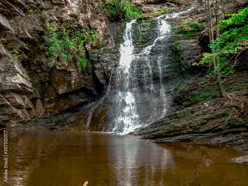 waterfall in forest