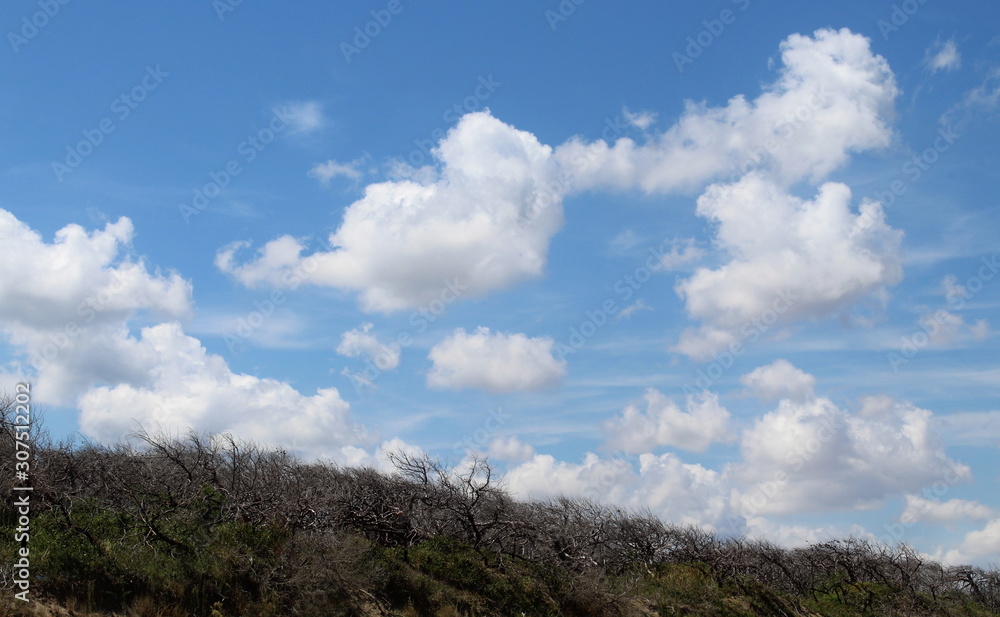Paesaggio primaverile in campagna - Cielo e nuvole