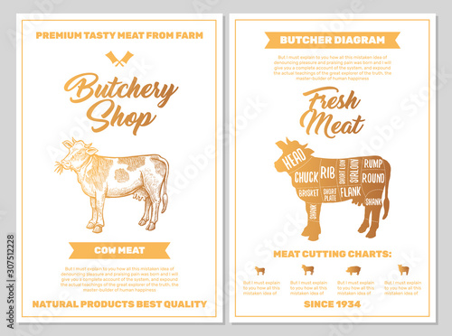 Butchery Shop Poster with Cow Meat Cutting Charts in Golden Colors on White Blackground. Vector Vertical Print Templates. Sketch Hand-drawn Farm Animal Illustration. Butchers Guide Diagram Design