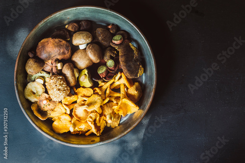 Directly above shot of various mushrooms in container on table photo