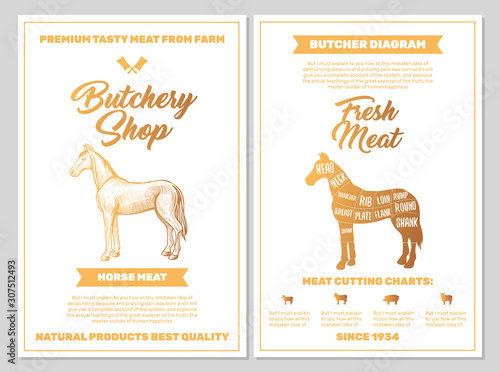 Butchery Shop Poster with Horse Meat Cutting Charts in Golden Colors on White Blackground. Vector Vertical Print Templates. Sketch Hand-drawn Farm Animal Illustration. Butchers Guide Diagram Design