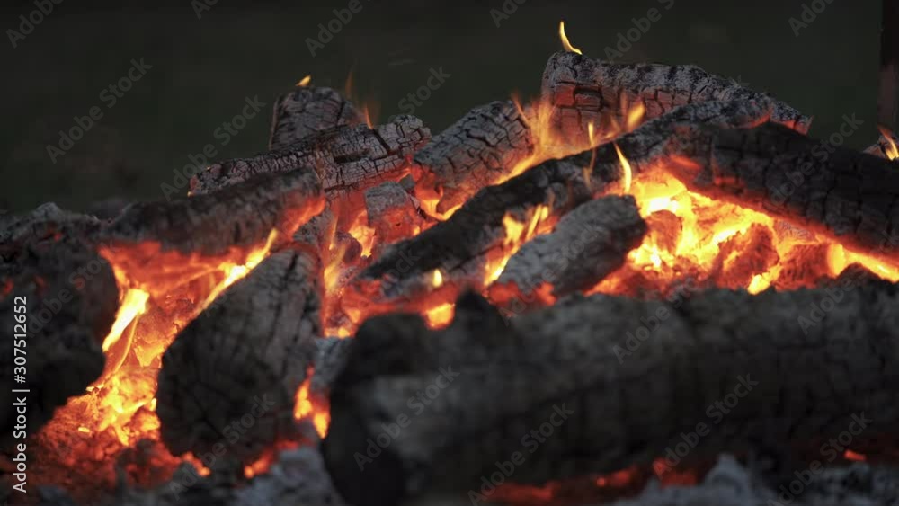 Tranquil evening campfire in the woods Tranquil evening campfire in the woods
