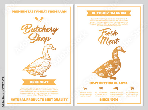 Butchery Shop Poster with Duck Meat Cutting Charts in Golden Colors on White Blackground. Vector Vertical Print Templates. Sketch Hand-drawn Farm Animal Illustration. Butchers Guide Diagram Design