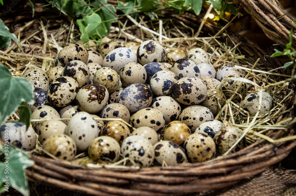 quail eggs placed between the straw in a wicker basket