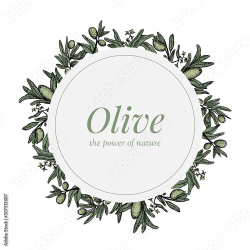 Olive wreath badge isolated on white background. Hand drawn olive branches.