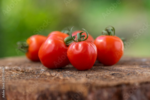 Group of ripened tasty red raw strawberry tomatoes on wood on green natural background, tasty healthy vegetables still life