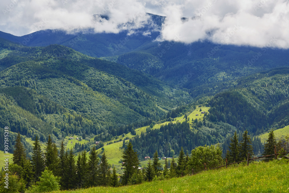 Fototapeta premium forested rolling hill on a cloudy day. lovely nature scenery of mountainous countryside.