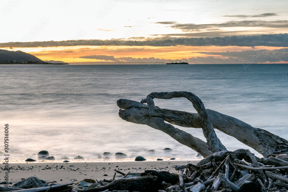 Fototapeta premium Driftwood logs left high and dry as the tide recedes down to the rocks with morning sunrise showing in the cloudy sky.
