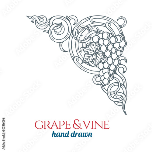 Grape and vine.  Hand drawn grape bunch engraving style illustration. Bunch of grapes sketch drawing corner ornament. Part of set.