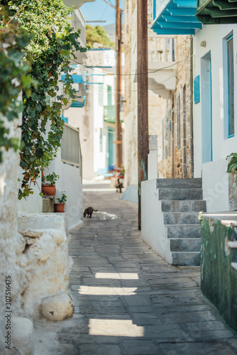 Naklejka na ścianę Wąska ulica wyłożona kamieniami z małymi domkami, schodami, balkonami, roślinami i kwiatami na wyspie Nisyros w Grecji