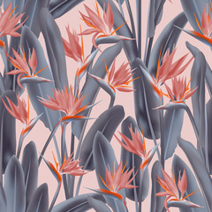Fototapete Tropische Paradiesblumen-Muster Strelitzia Paradiesvogelblume Dschungel Muster  © SunwArt