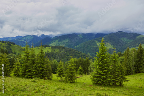 mountainous landscape with forested hills. beautiful summer