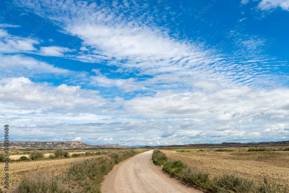 Road through the badlands Bardenas Reales Road through the badlands Bardenas Reales