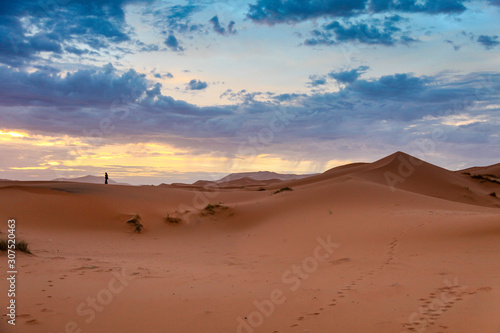 Landscape of a desert with a lone figure