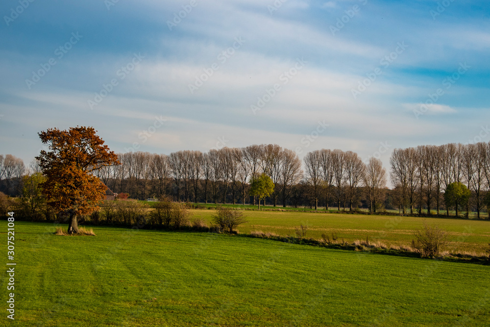 Autumn landscape. Blue sky over an empty field. Autumn landscape. Blue sky over an empty field.
