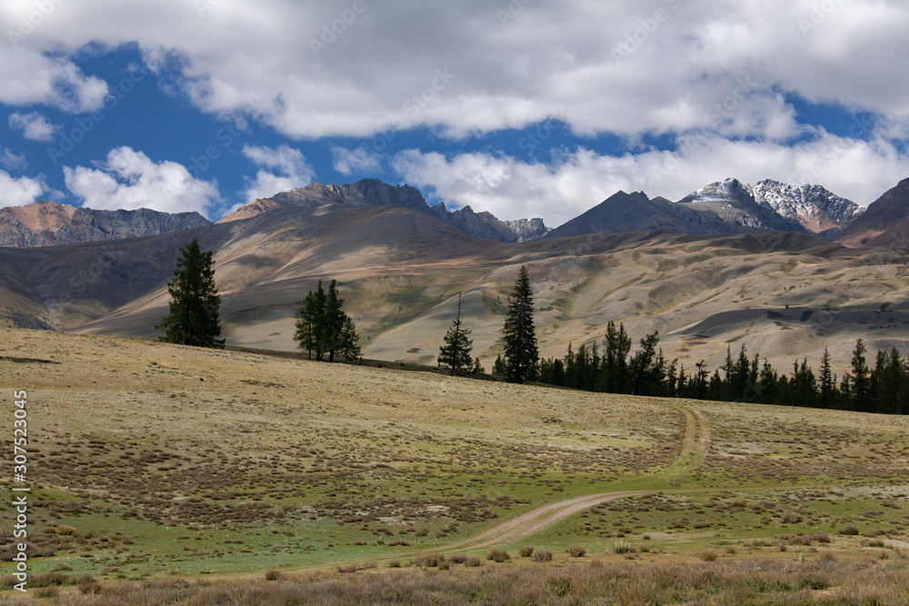 mongolian valley steppe trees and mountains