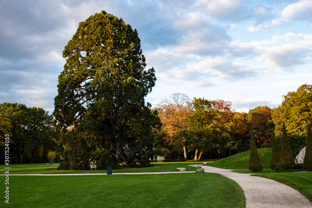 Fototapeta premium Way in the park in autumn. Fall forest landscape.