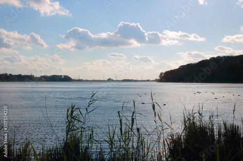 夕暮れ時の日本一汚い佐鳴湖の風景