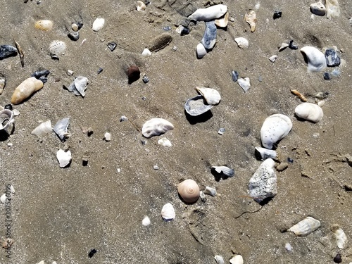beach, sand, sea, texture, nature, stone, coast, shell, shore, water, stones, summer, shells, footprint, wet, ocean, pattern, pebble, rock, pebbles, textured, natural, abstract, rocks, foot