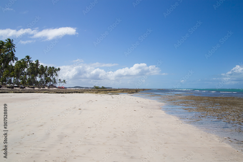 Carneiros Beach, a Tropical beach at Pernambuco, Brazil