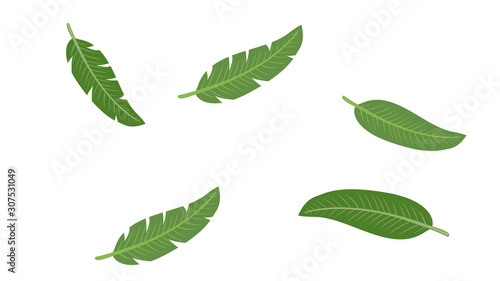 Ins green leaf background template