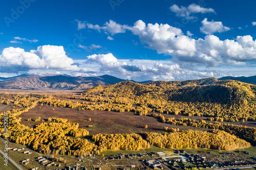 Xinjiang Hemu birch forest autumn scenery. 