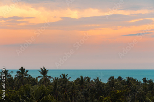  Spectacular dawn sky over sea and coconut palms on a tropical island 