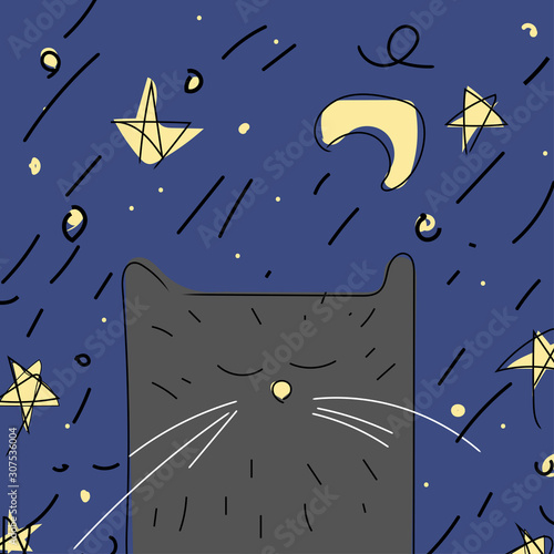 Black cat sleeping on a background of the night sky. The moon, the stars.