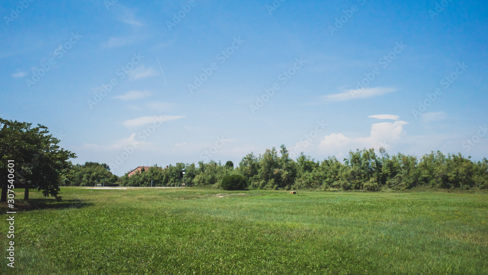 Empty field on island of Torcello, Venice, Italy