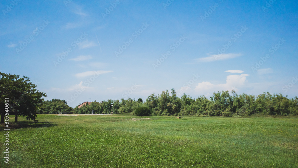 Empty field on island of Torcello, Venice, Italy Empty field on island of Torcello, Venice, Italy