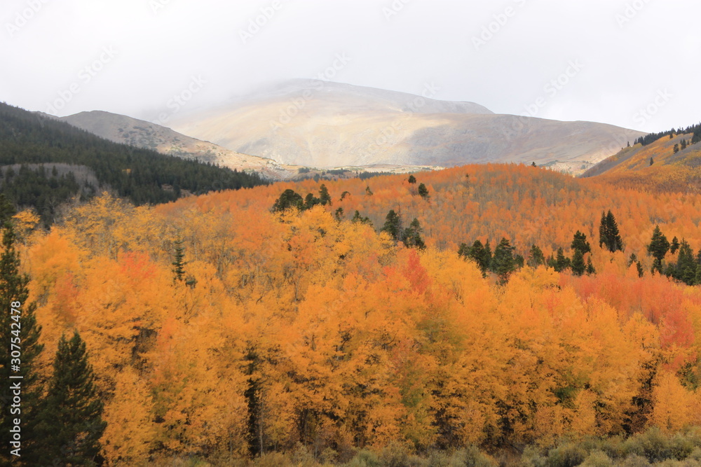 Fototapeta premium Autumn in the Mountains