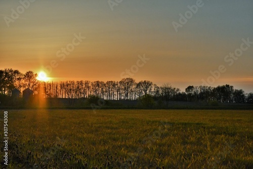 Summer sunset in northern Indiana over a field with silhouette trees and small buildings in the foreground