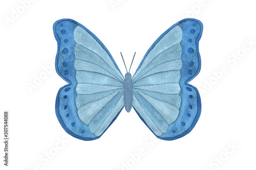 Watercolor blue butterfly isolated on white background. Tropical butterfly for design cards, invitations, children’s wear. Butterfly art poster. Realistic style. © Tanya Trink