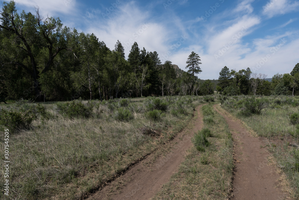 The Largo trail near Quemado lake, New Mexico.