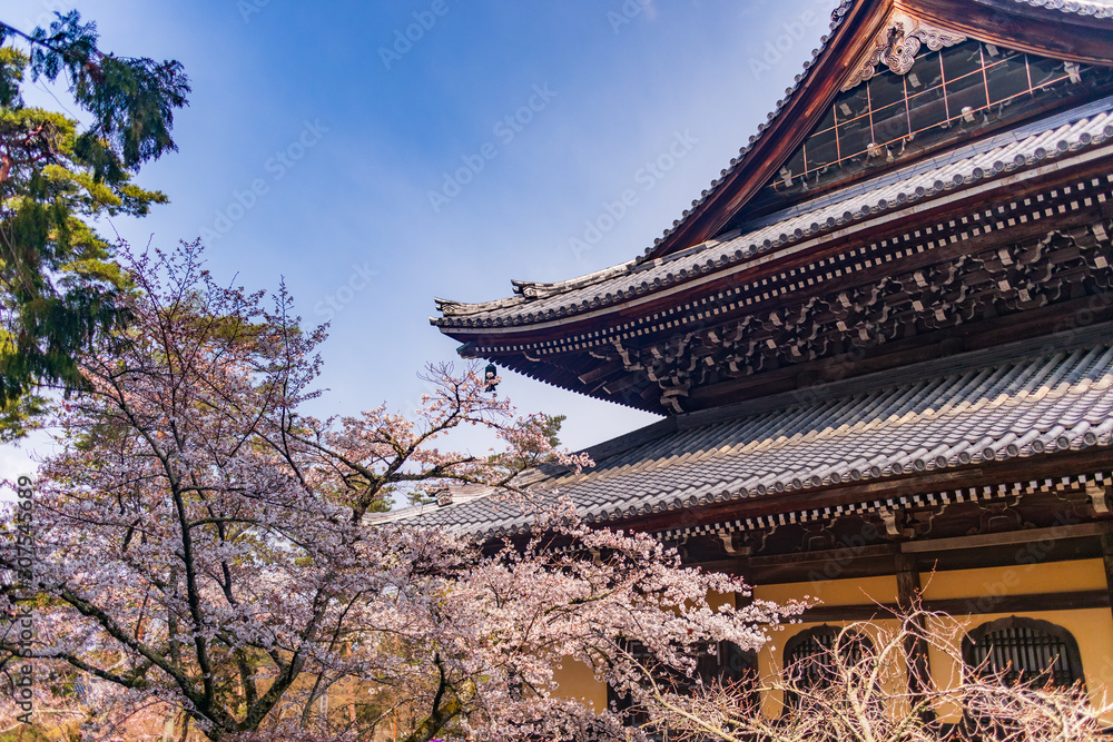 Nanzenji temple and cherry blossoms. Nanzenji temple and cherry blossoms.