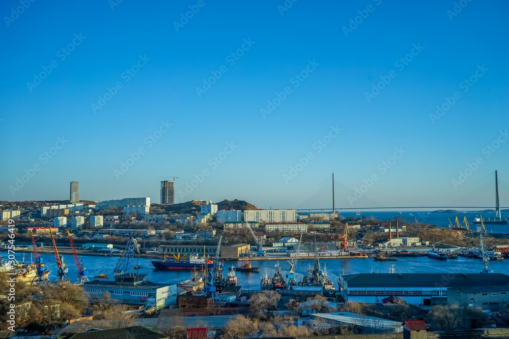 Cityscape with views of the port and the Russian bridge.