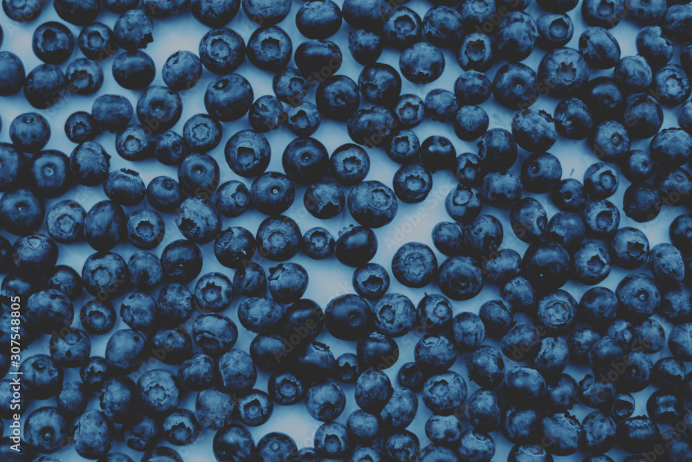 Blueberries. Blue background. Trend of the year. Blueberries. Blue background. Trend of the year.