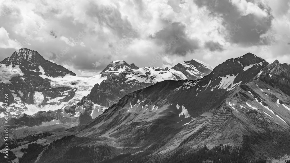 Switzerland, black and white panoramic view on green Alps from Schynige Platte
