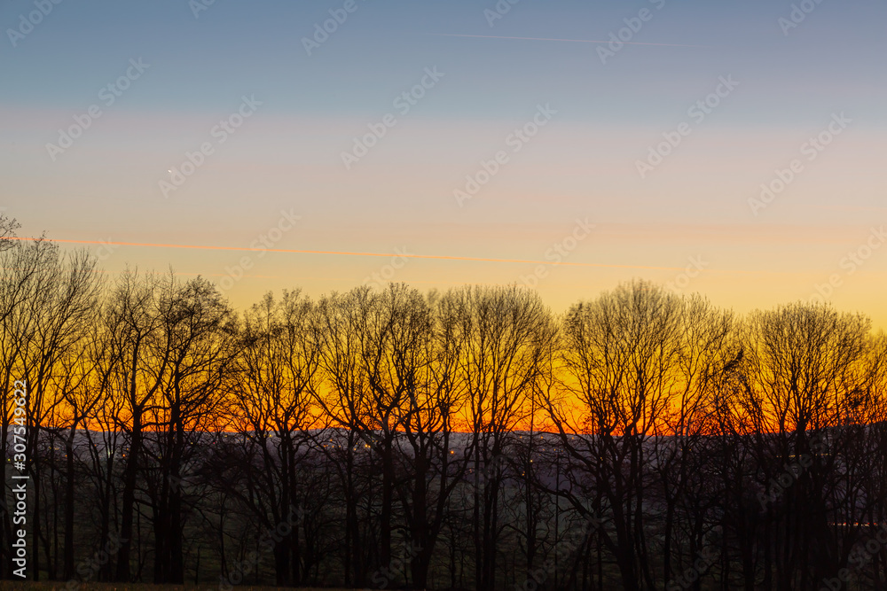 Cold winter dusk in Germany that shows a row of leafless trees as foreground for this beautiful and colorful dusk in the forest horizon. Cold winter dusk in Germany that shows a row of leafless trees as foreground for this beautiful and colorful dusk in the forest horizon.