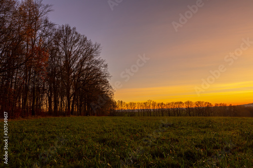 Cold winter dusk in Germany that shows this beautiful and colorful dusk in the field horizon.
