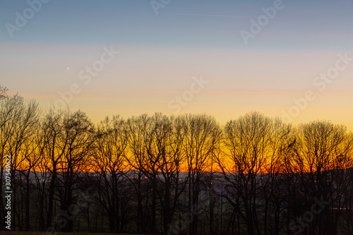 Cold winter dusk in Germany that shows a row of leafless trees as foreground for this beautiful and colorful dusk in the forest horizon.
