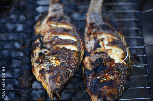 Tilapia grilled on charcoal grill