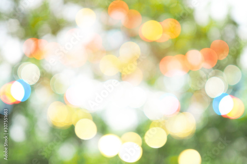 Colorful abstract green bokeh out of focus background from tree in nature