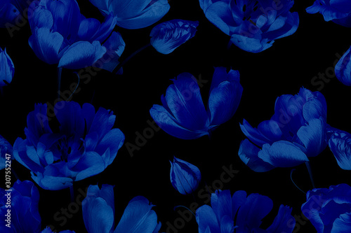 Vintage floral seamless pattern. Beautiful spring blue flowers tulips on black. Fashion background. Design for paper  wallpaper  decoration packaging  textile. Illustration art.