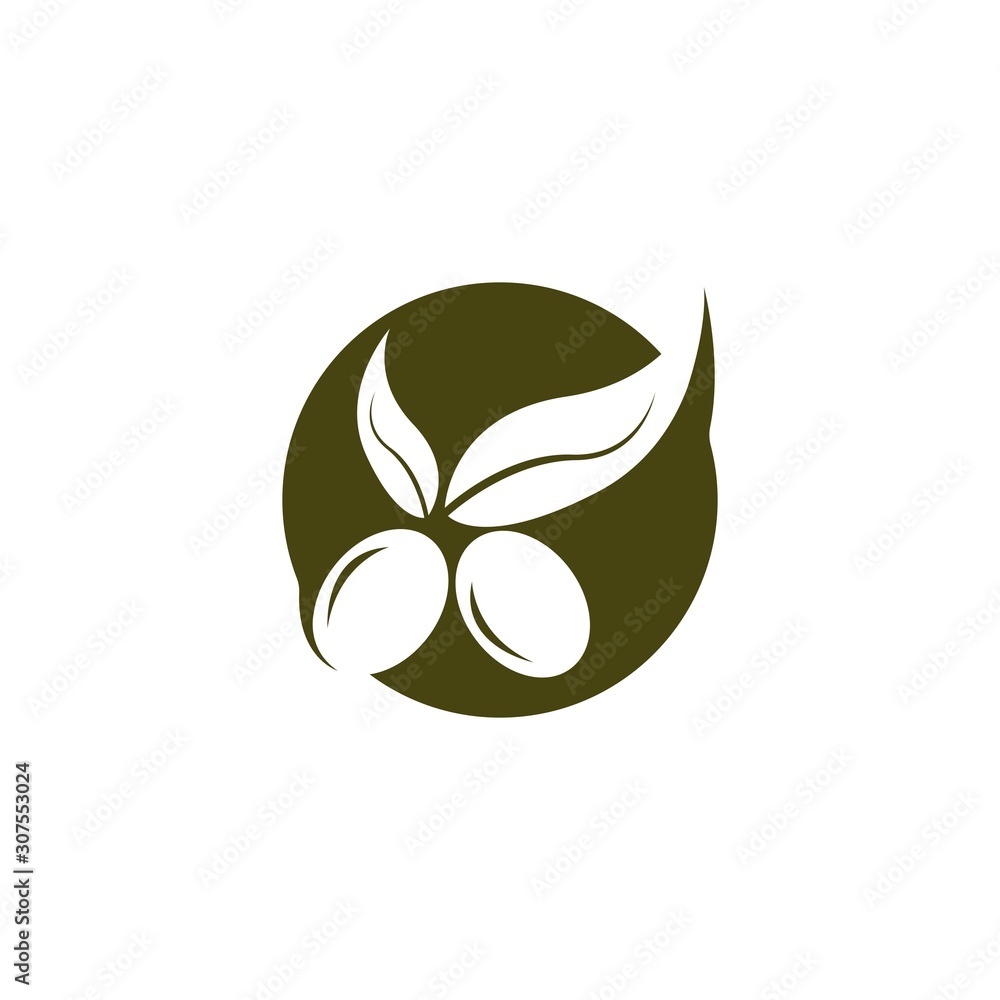 Olive logo template vector icon Olive logo template vector icon