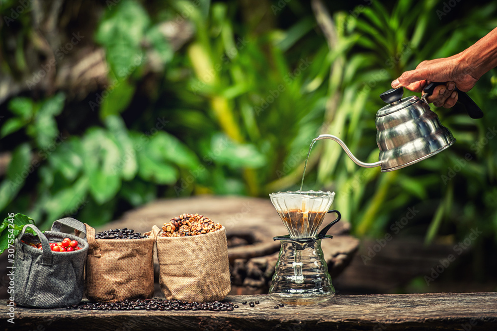 Robusta, Arabica, coffee berries, coffee beans. Top view with copy space for your text Robusta, Arabica, coffee berries, coffee beans. Top view with copy space for your text