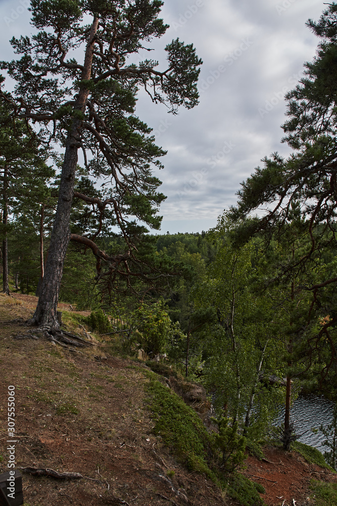 The nature of Karelia.Typical Karelian landscape on the island of Valaam: forest of conifers, Lake Ladoga, crag and volcanic rocks. Russia, Karelia The nature of Karelia.Typical Karelian landscape on the island of Valaam: forest of conifers, Lake Ladoga, crag and volcanic rocks. Russia, Karelia