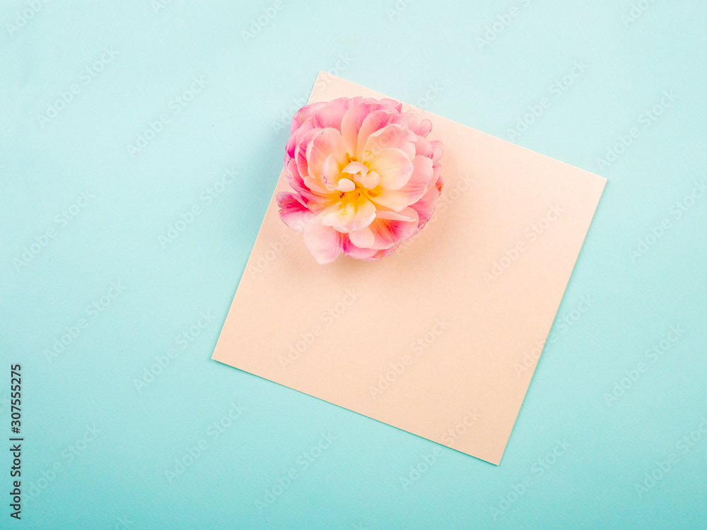 tulips on a blue textural background with a letter envelope. Flat lay, copy space, top view. Flowers composition. tulips on a blue textural background with a letter envelope. Flat lay, copy space, top view. Flowers composition.