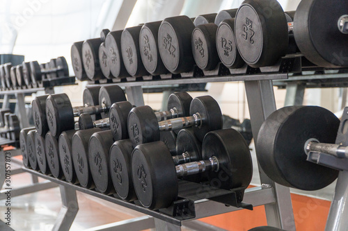 row of dumbbells in a modern gym